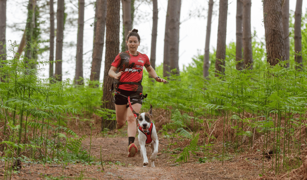 Trail avec son chien : comment passer au canicross ?