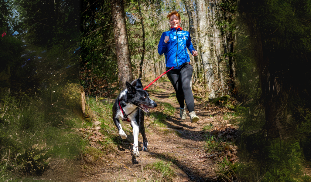 Canicross : guide complet pour débuter avec son chien