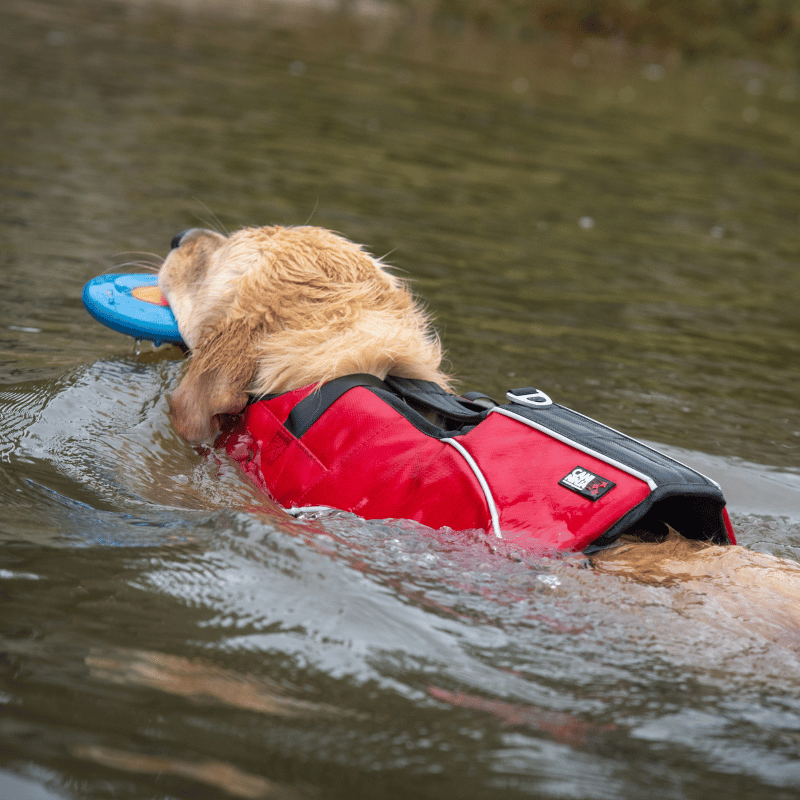 gilet de sauvetage pour chien, gilet de nage pour chien ,gilet flottant pour chien, gilet de sauvetage canininja, gilet de flottaison pour chien