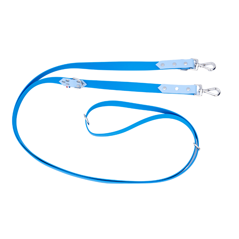 Laisse multiposition - Bleu ciel/Bleu Roi 8kg-80kg Biothane
