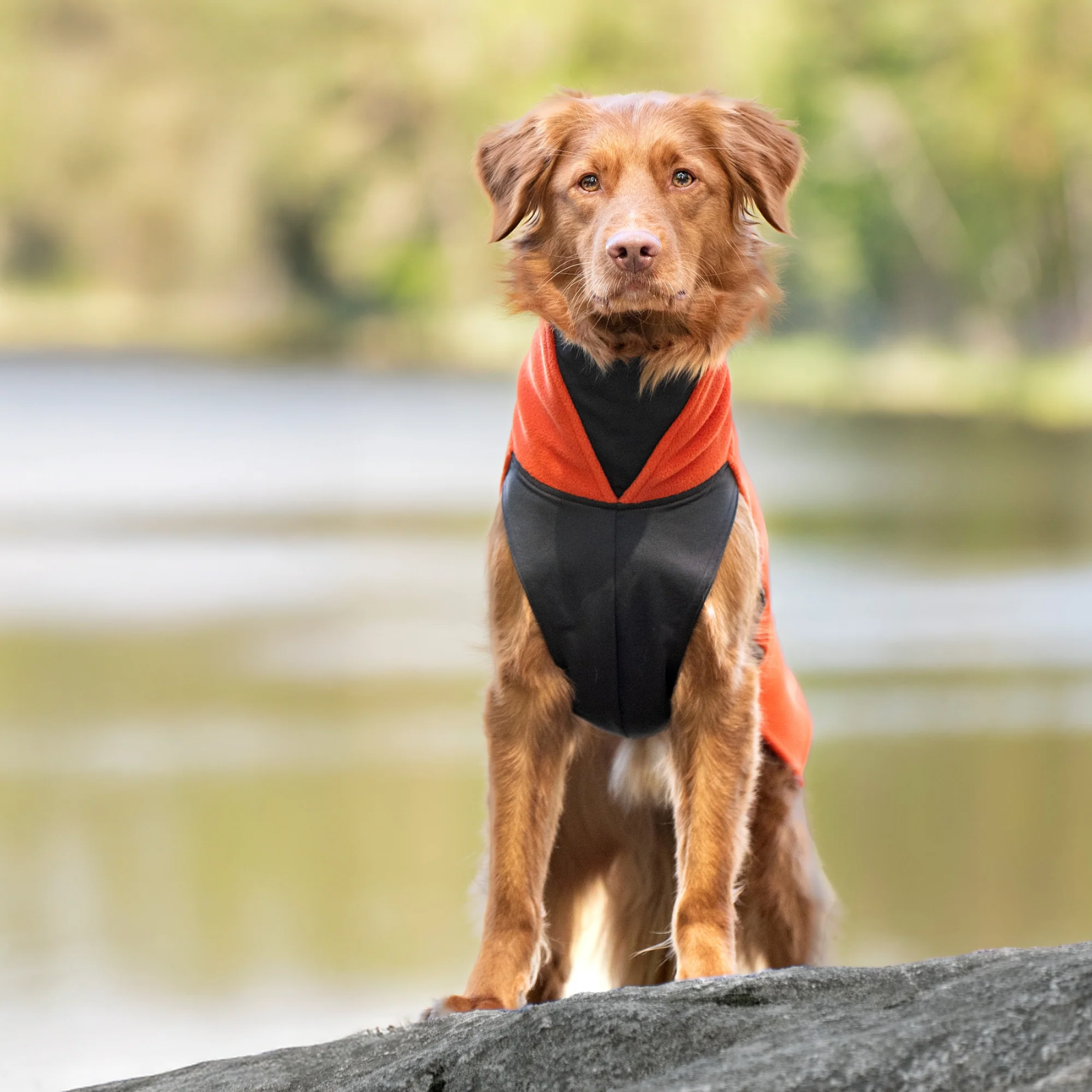 Manteau JumppaPomppa Orange