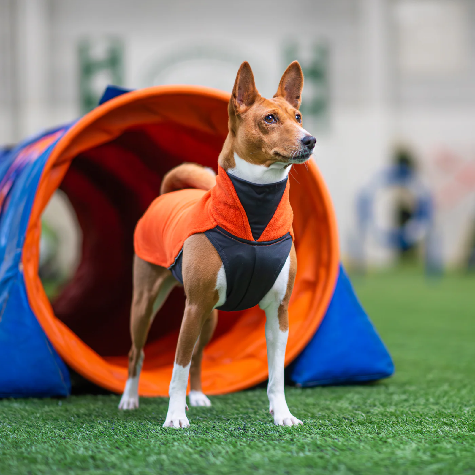 Manteau JumppaPomppa Orange