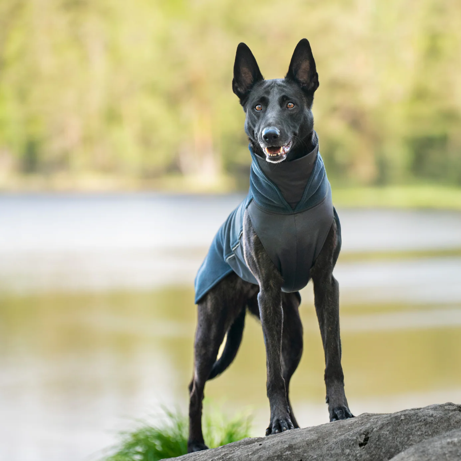 Manteau JumppaPomppa Bleu Marine