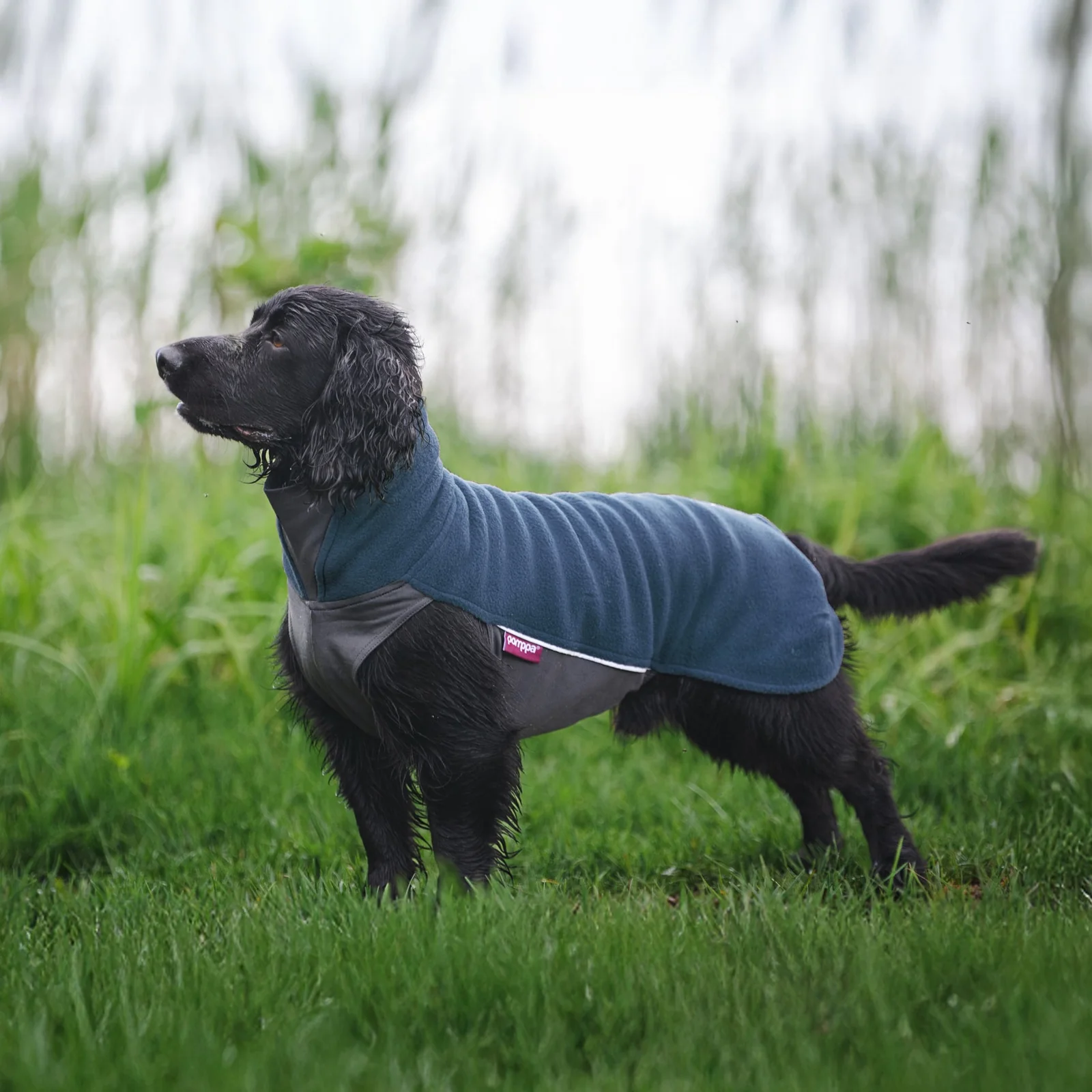 Manteau JumppaPomppa Bleu Marine