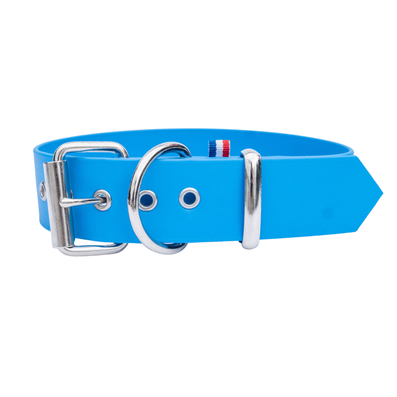 Collier biothane grand chien bleu ciel