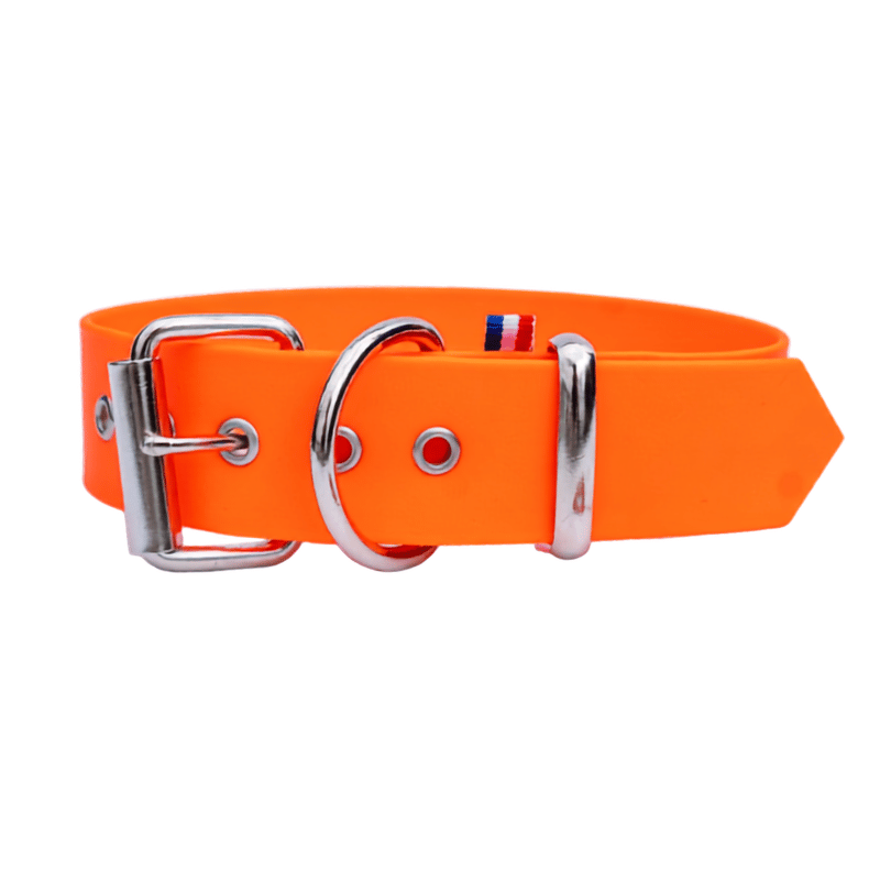 Collier biothane grand chien orange