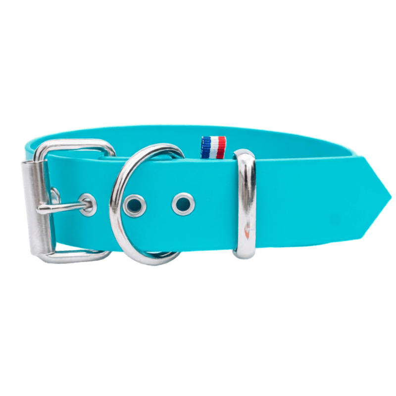 Collier biothane pour chien turquoise