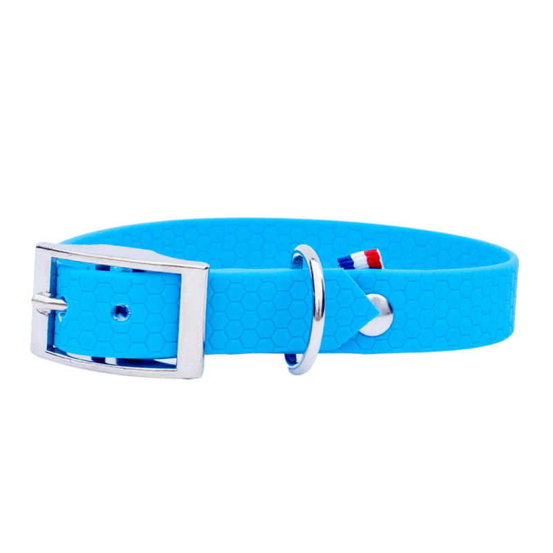Collier hexa chien bleu ciel
