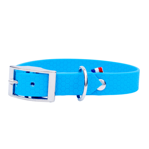 Collier hexa chien bleu ciel