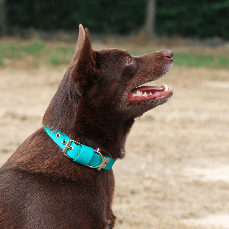 Collier hexa bleu turquoise