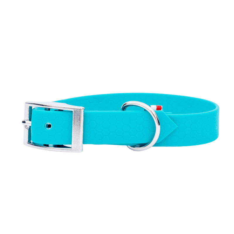 Collier hexa pour chien turquoise