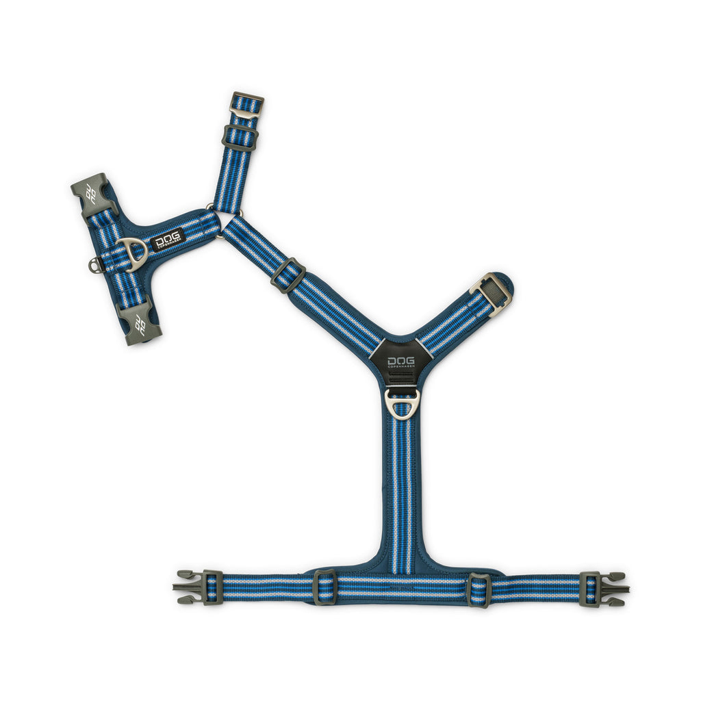 harnais réglable bleu