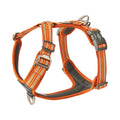 Harnais orange 