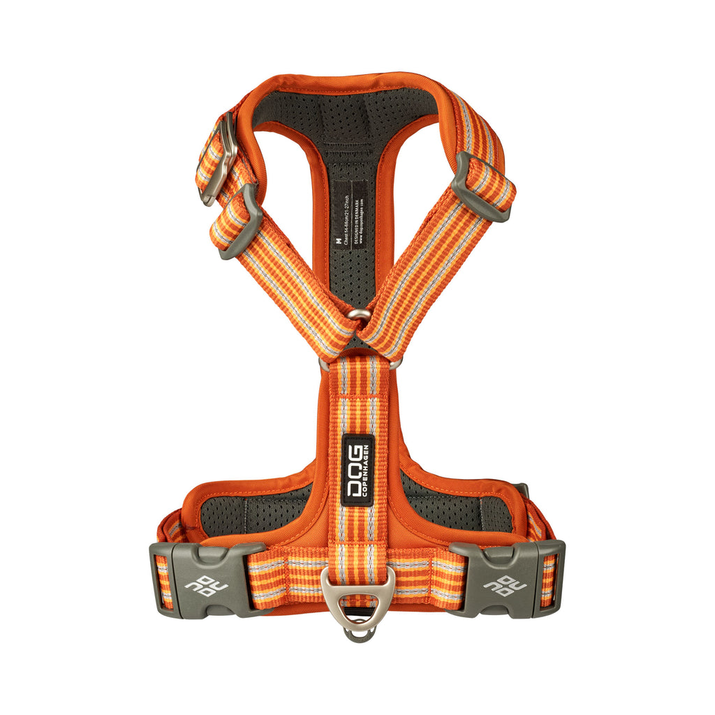 harnais orange de promenade 