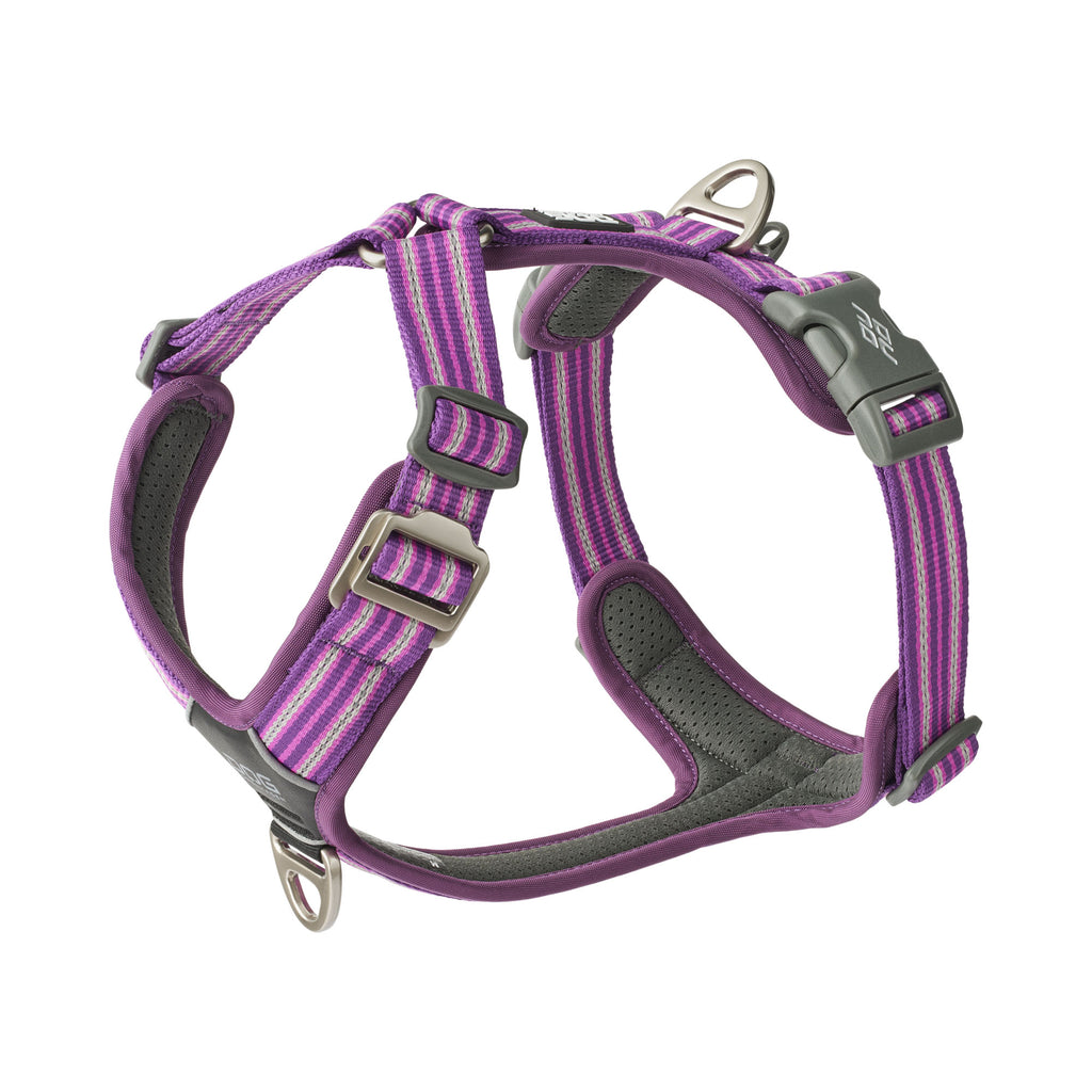 harnais confortable violette