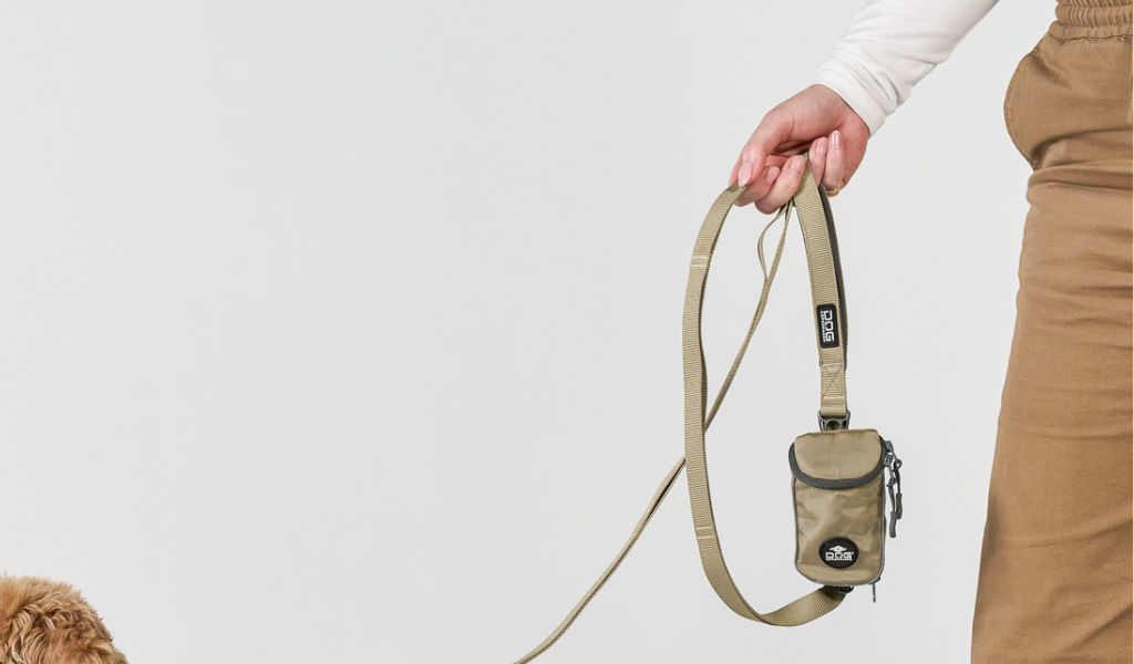 laisse blanche, pochette de laisse, caniche