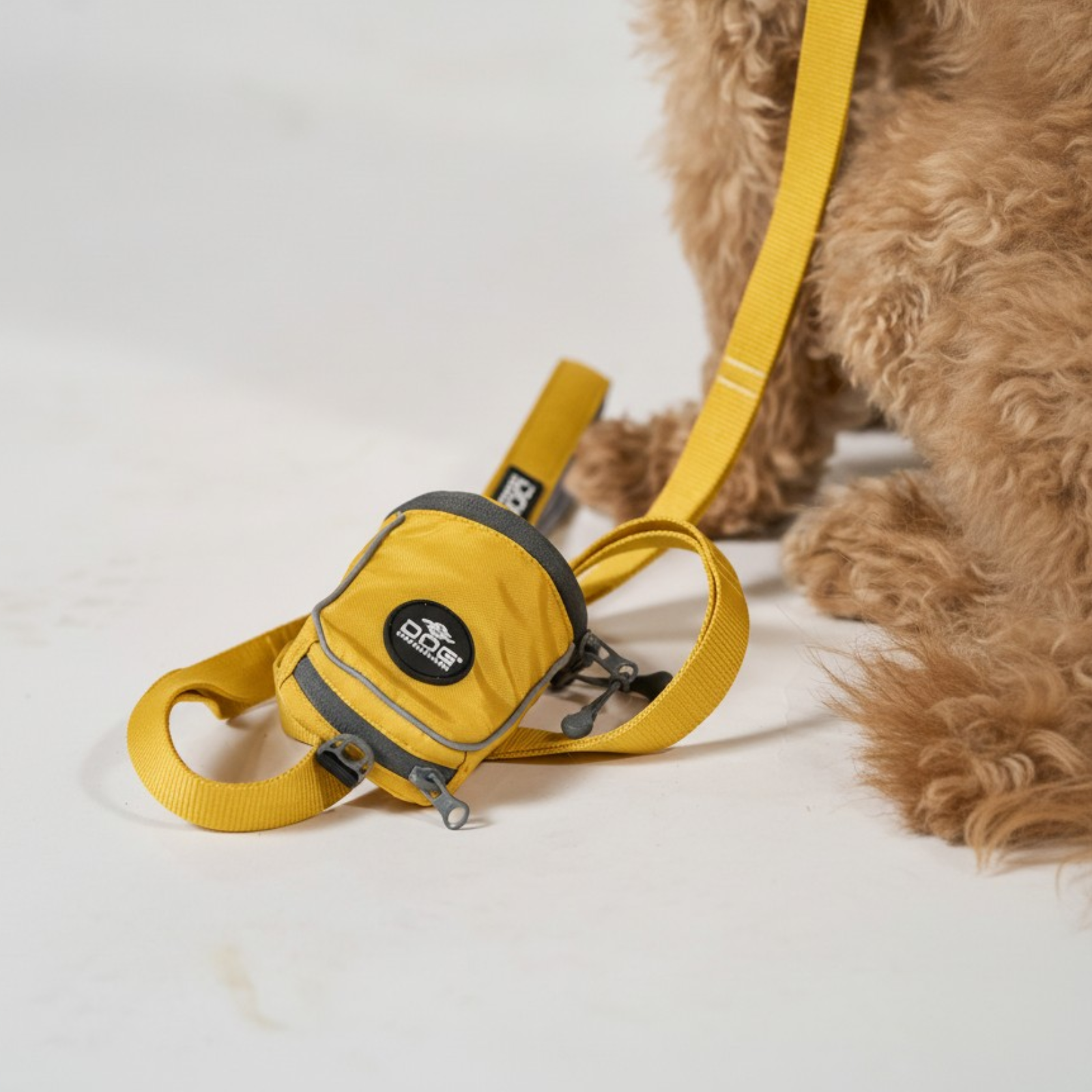 Laisse jaune pour petit chien, Pochette de laisse Jaune