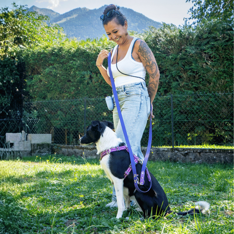 Laisse multipositions biothane violette, laisse multiposition chien, laisse pour chien, laisse main libre