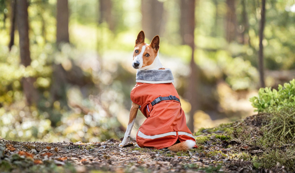 Manteau Chaud et Imperméable Orange