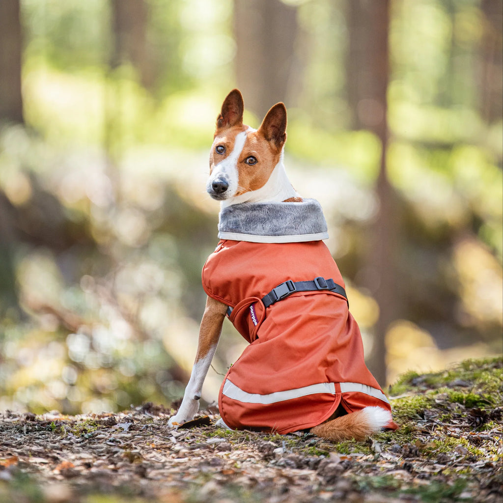 manteau orange chaud pour chien