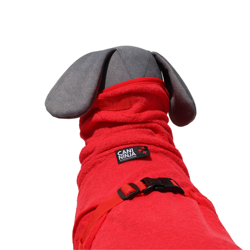 Peignoir pour chien