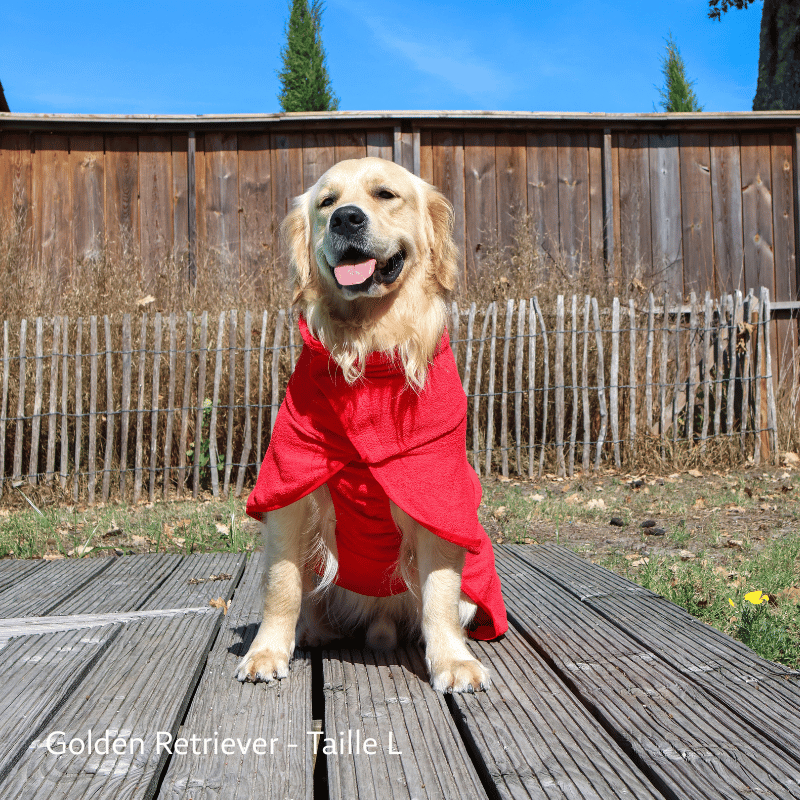 Peignoir pour chien, serviette pour chien, peignoir chien, peignoir grand chien, peignoir chiot