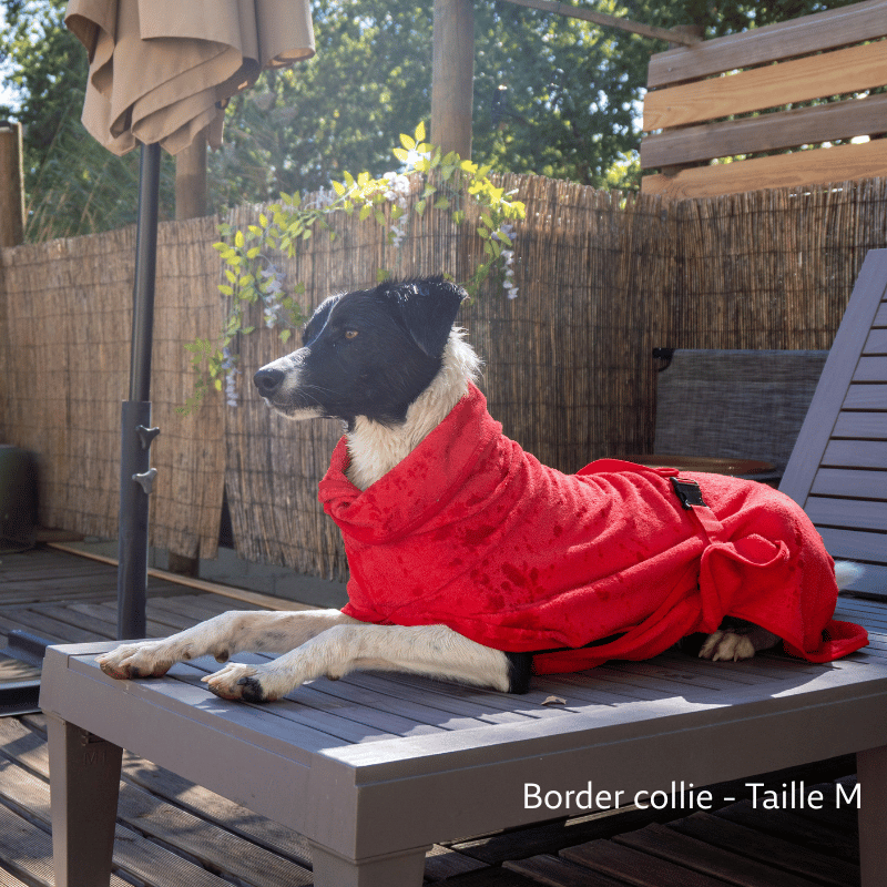 Peignoir pour chien, serviette pour chien, peignoir chien, peignoir grand chien, peignoir chiot