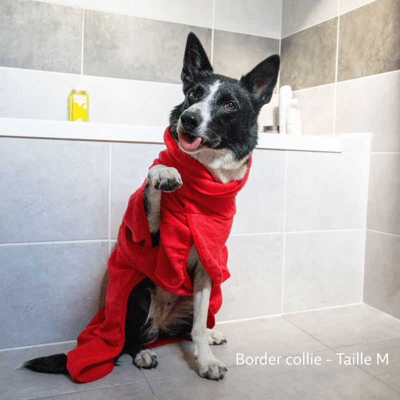 Peignoir pour chien, serviette pour chien, peignoir chien, peignoir grand chien, peignoir chiot