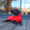 Peignoir pour chien, serviette pour chien, peignoir chien, peignoir grand chien, peignoir chiot