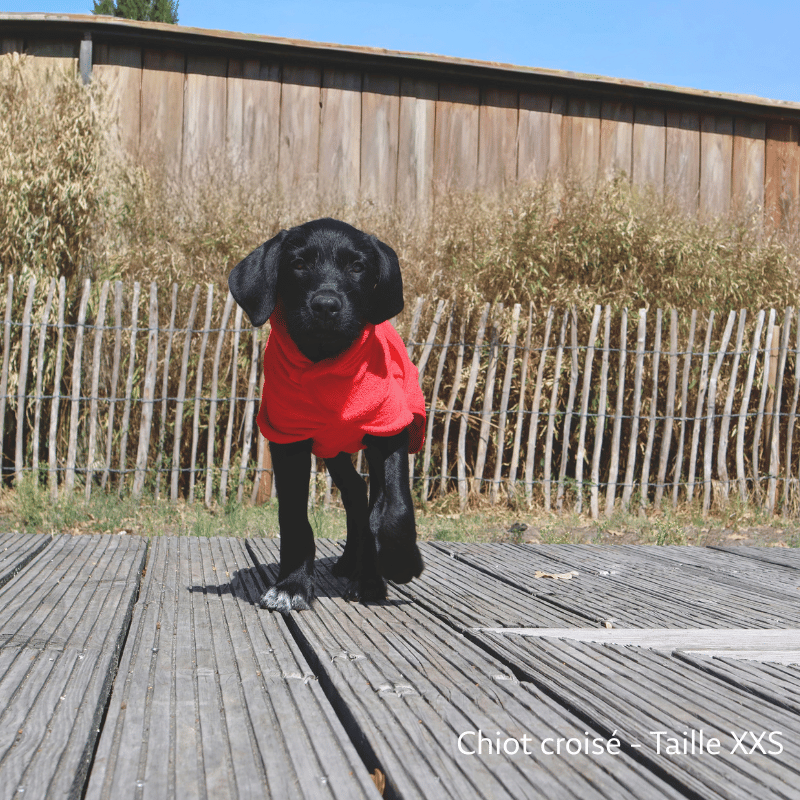 Peignoir pour chien, serviette pour chien, peignoir chien, peignoir grand chien, peignoir chiot