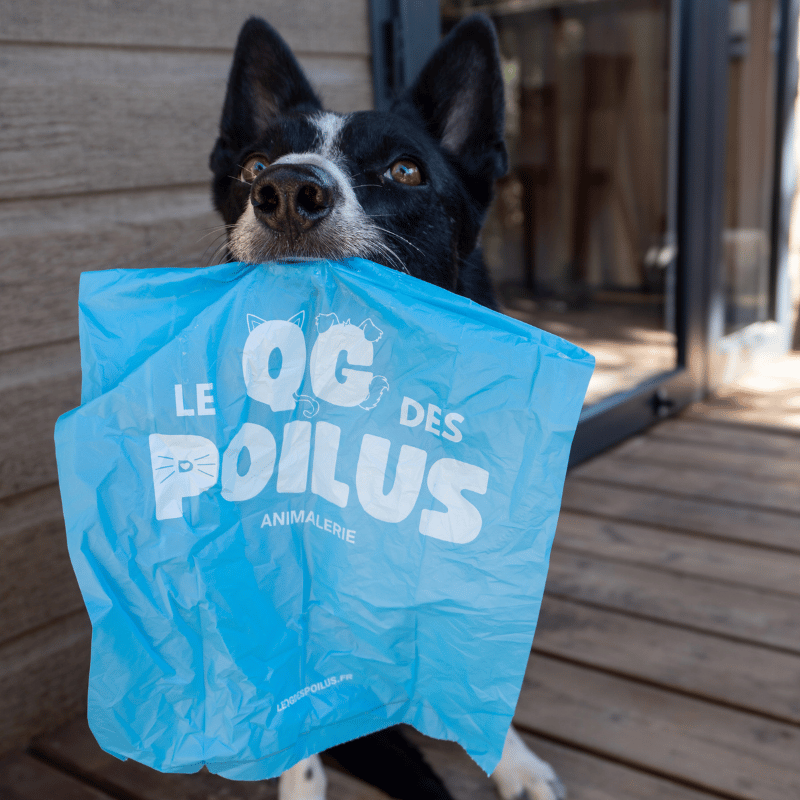 Sac à crotte chien