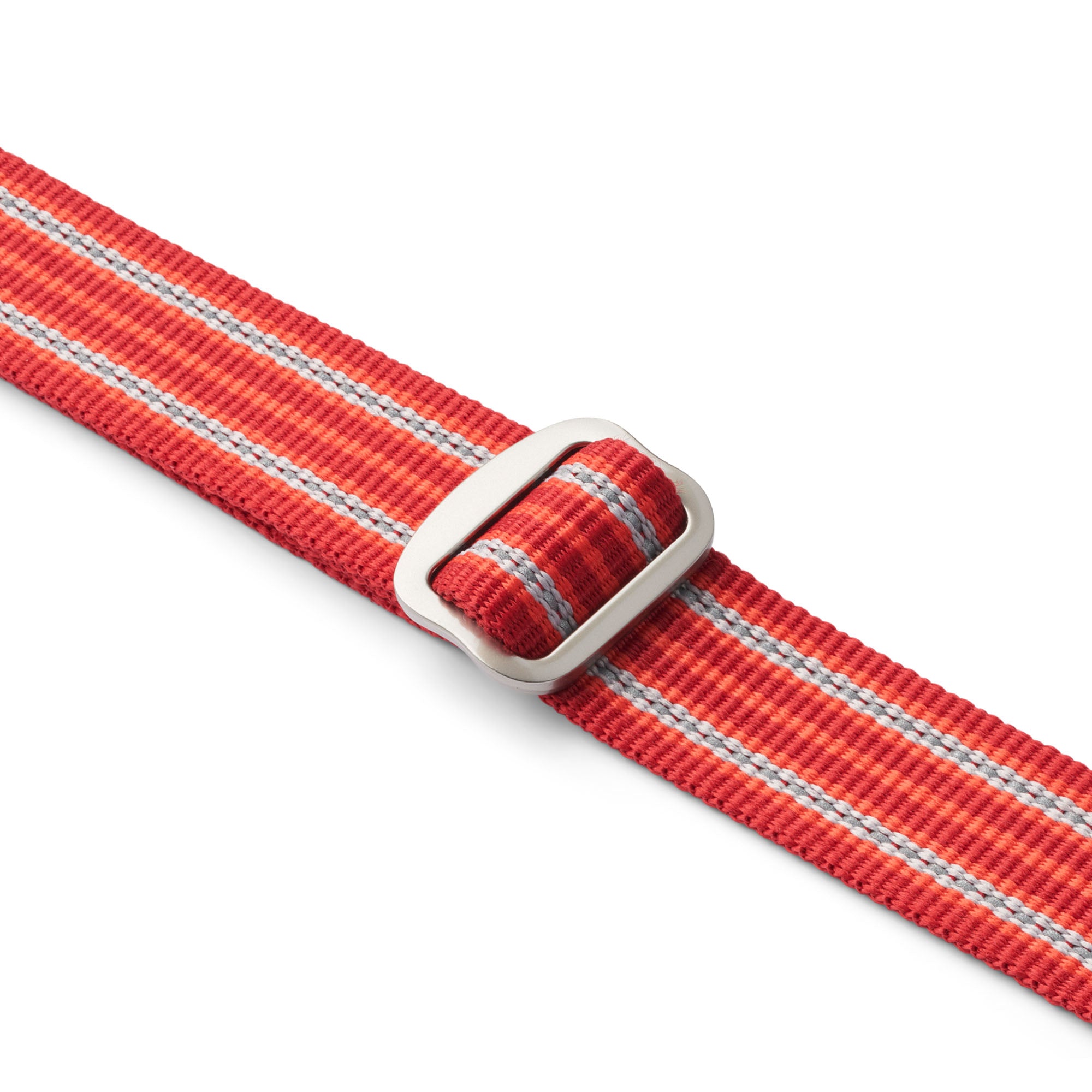 Laisse pour petit chien