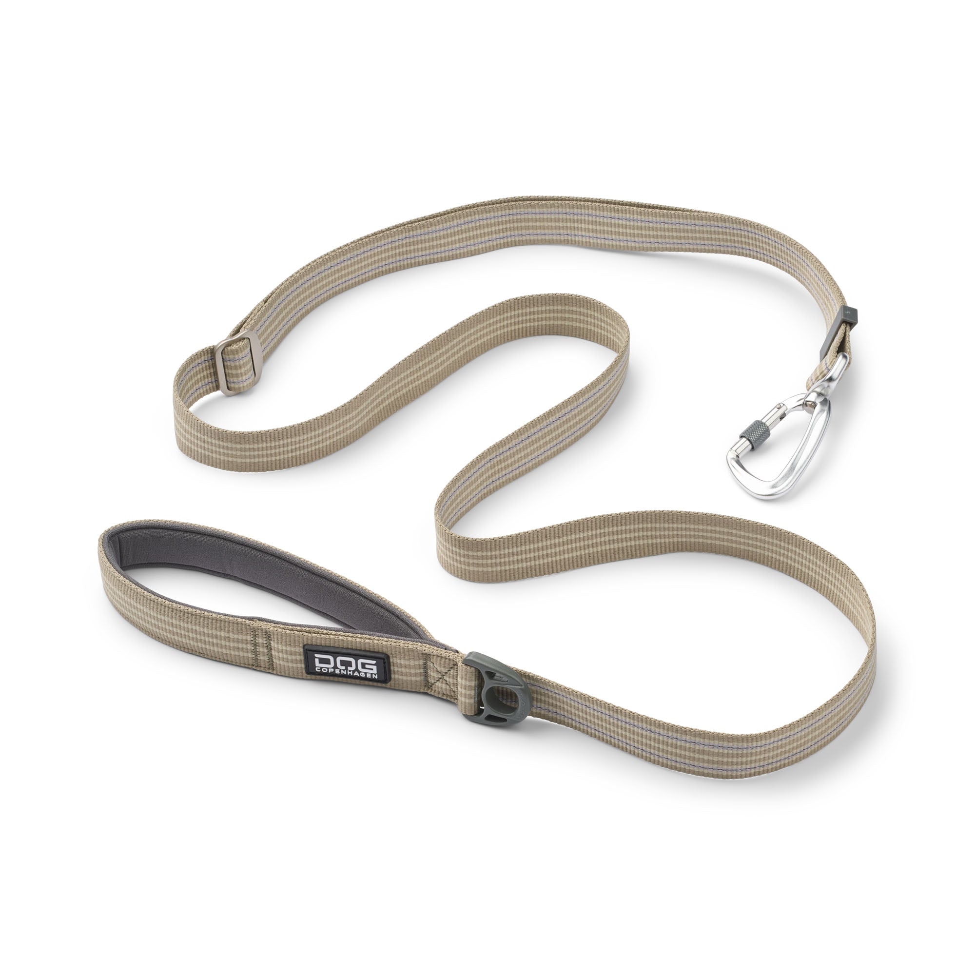 Laisse pour petit chien