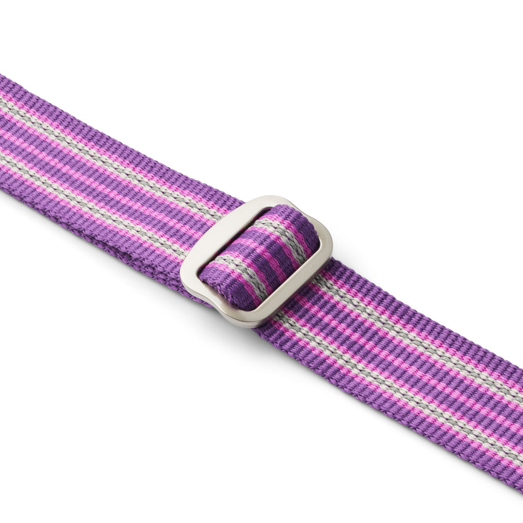 Laisse réglable violette pour petit chien , laisse réglable