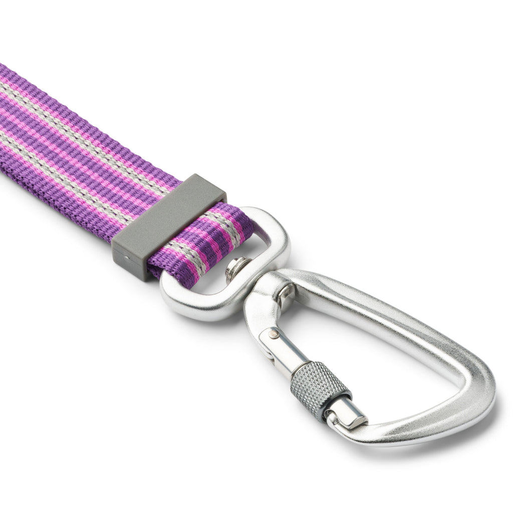 Laisse violette avec mousqueton