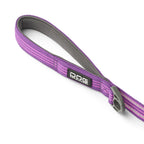 laisse violette avec poignet