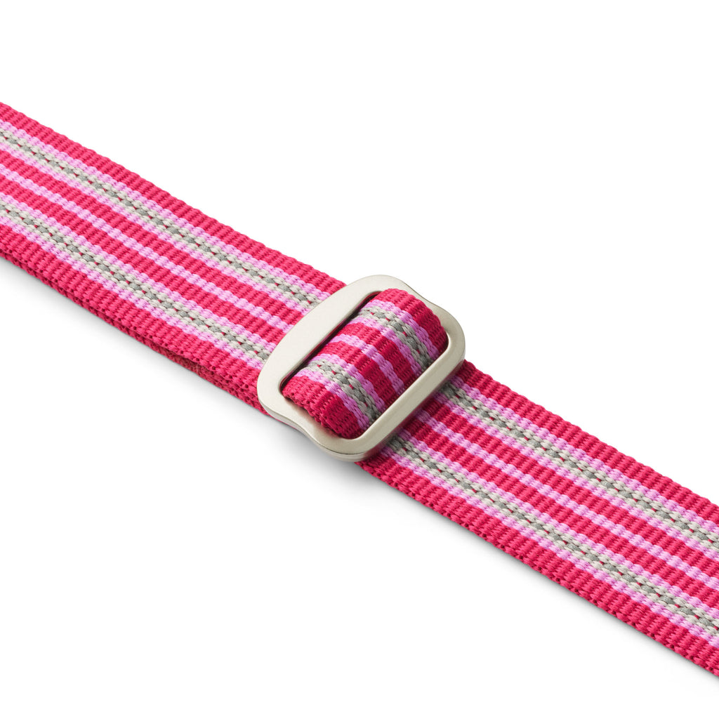 Laisse réglable rose pour petit chien, laisse réglable