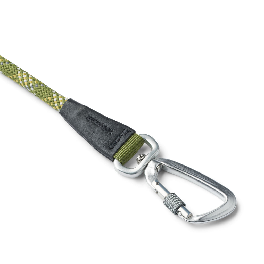 laisse corde verte et blanche avec mousqueton