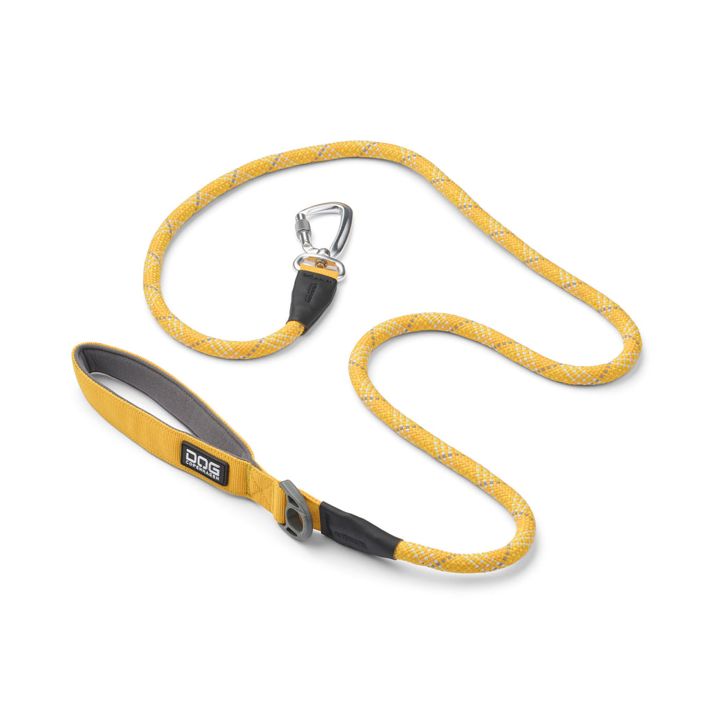 laisse jaune et blanche 