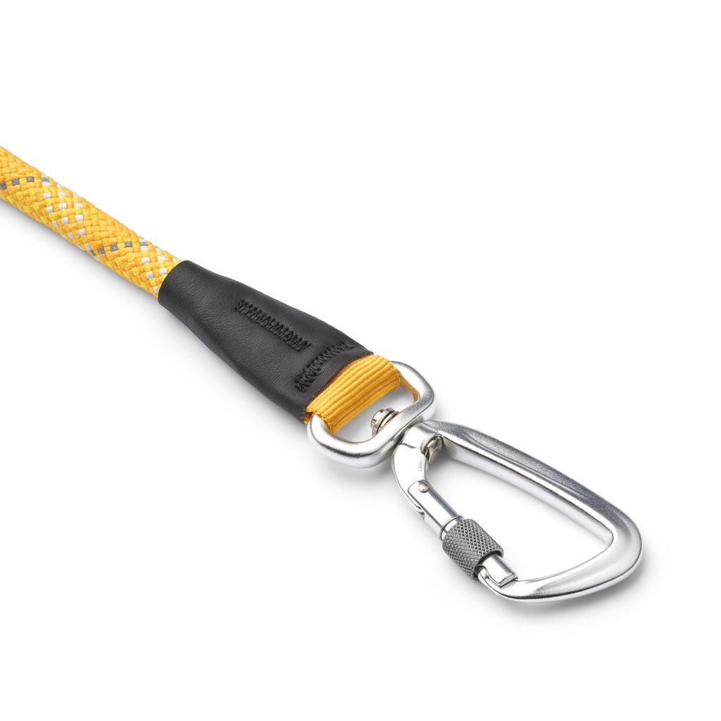 laisse jaune pour chien avec mousqueton 
