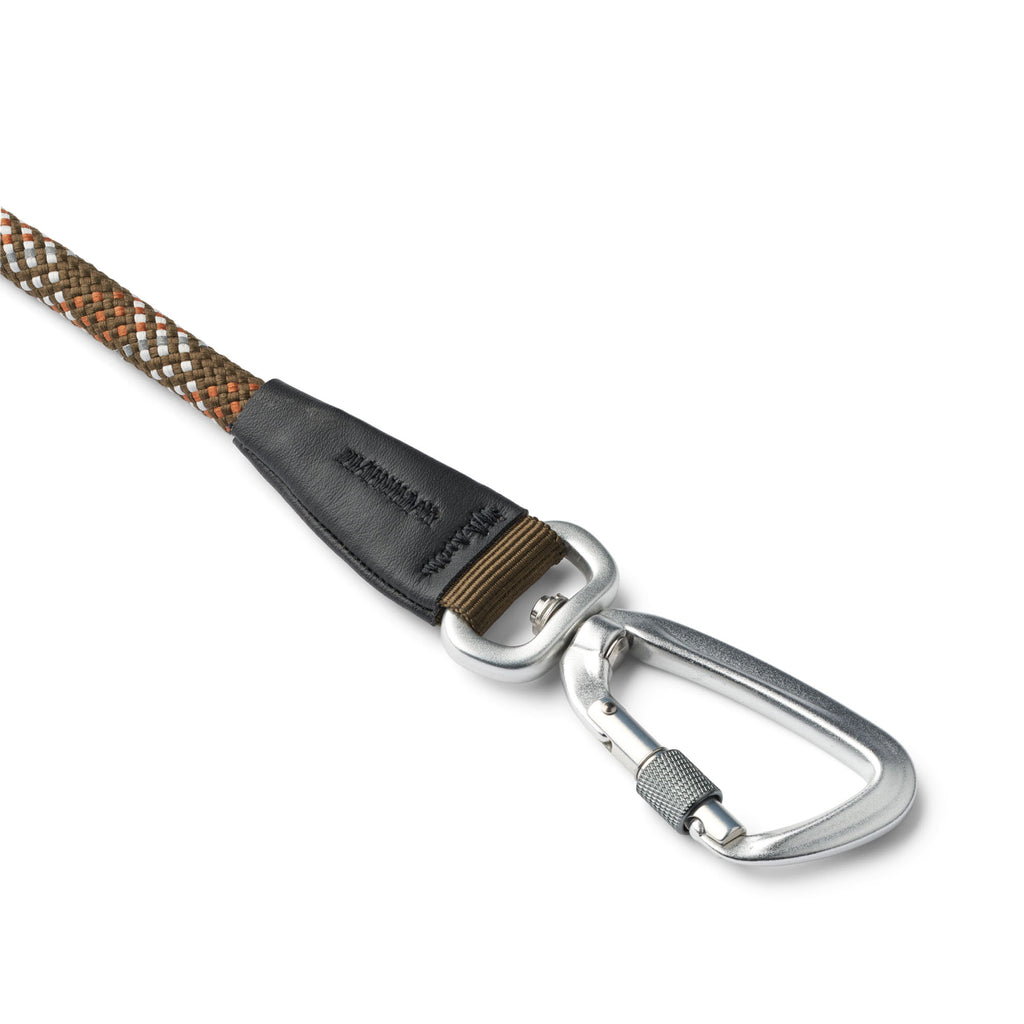 laisse pour chien avec mousqueton 