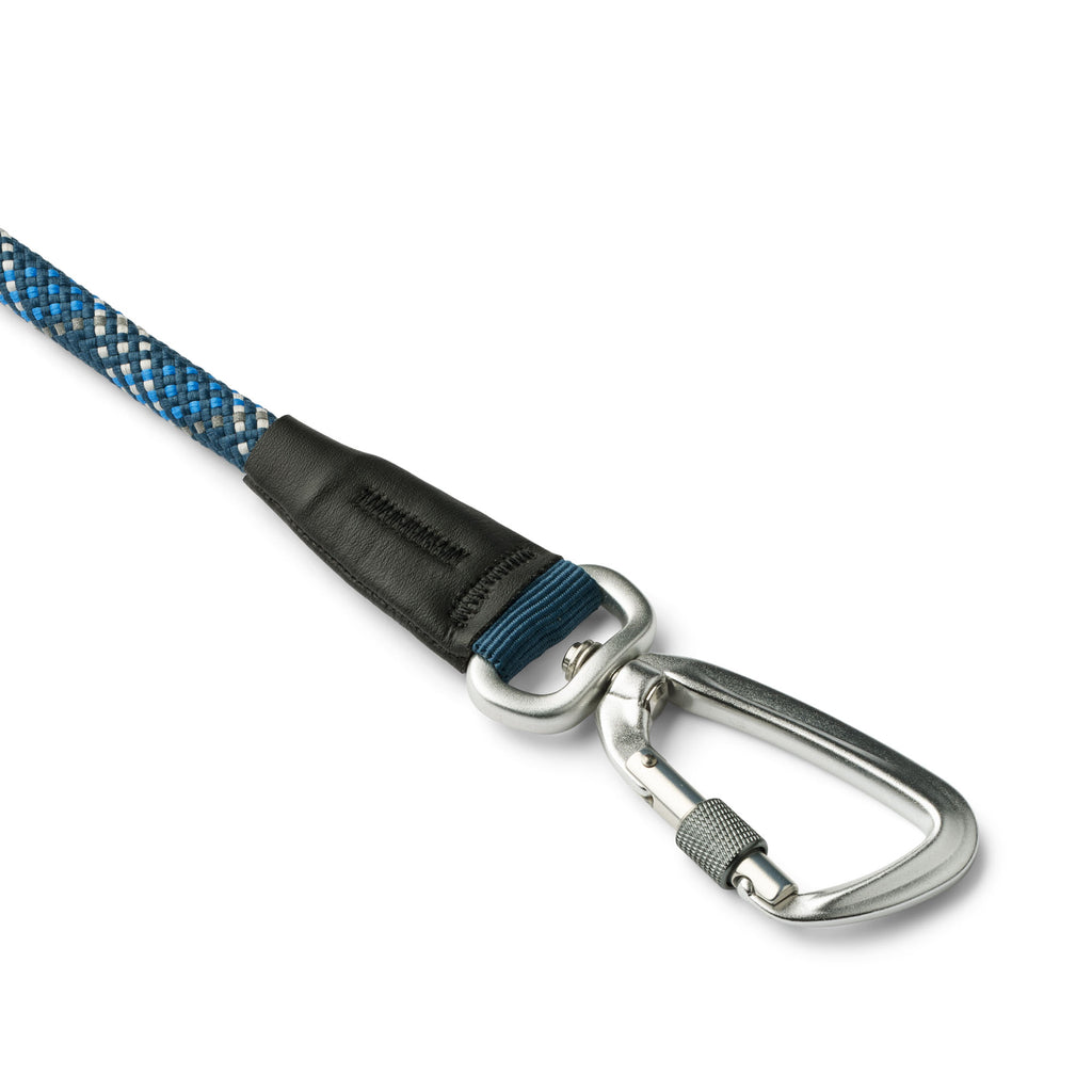laisse bleu avec mousqueton pour chien