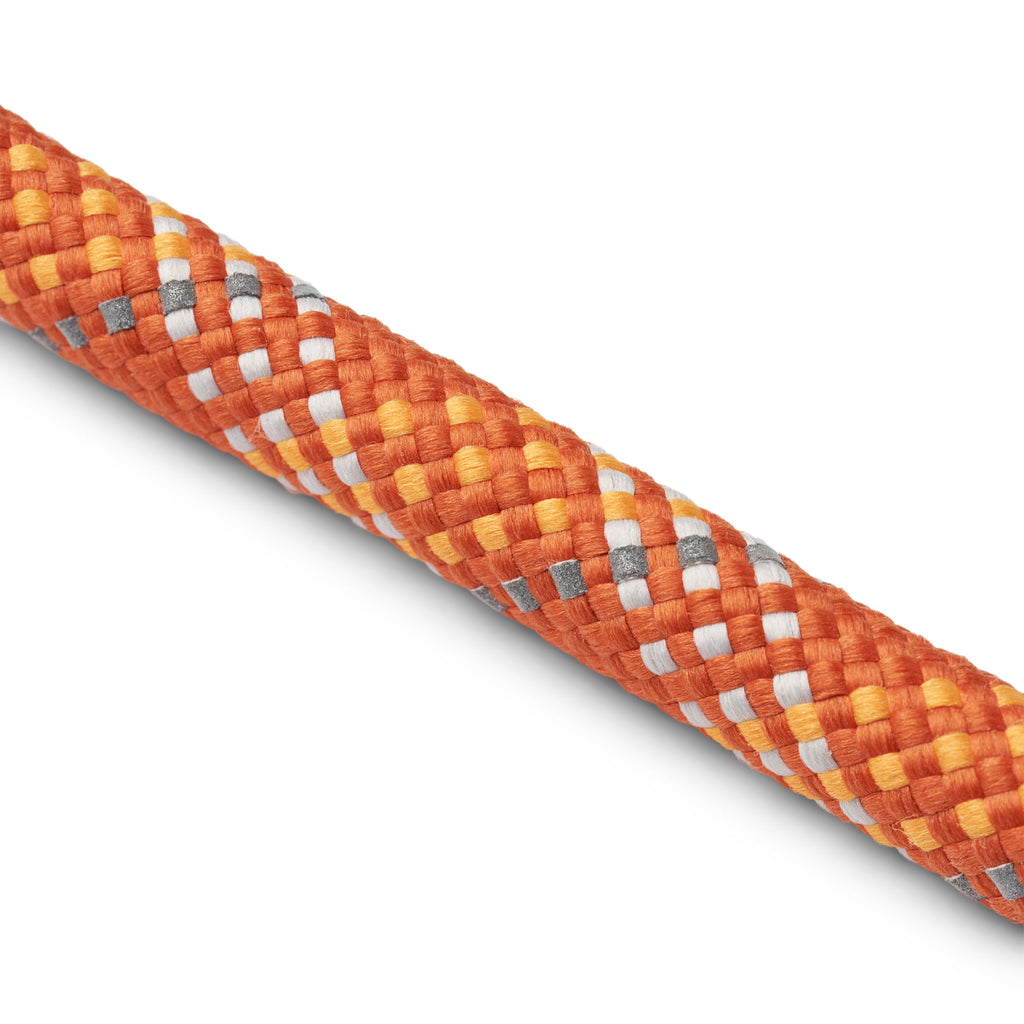 laisse orange