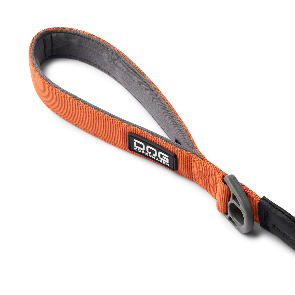 laisse orange pour chien