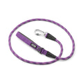 laisse violette pour chien, laisse violette corde 