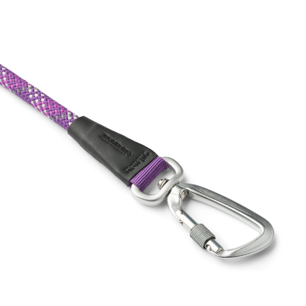 laisse pour chien violette  avec mousqueton