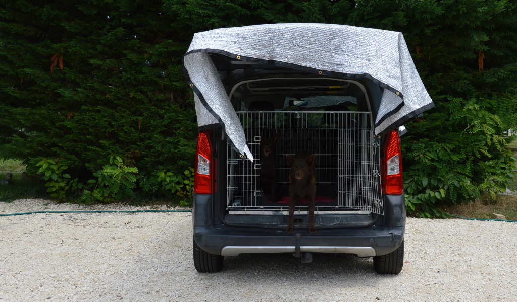 groupe de kelpie, toile d'ombrage, cage  