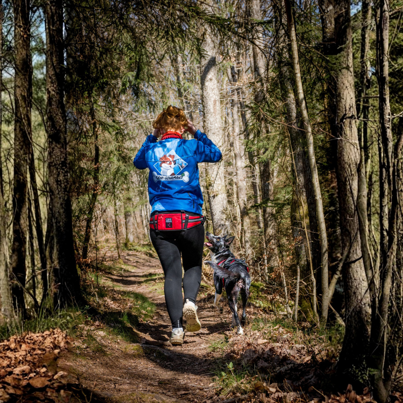 Ceinture Baudrier Canicross