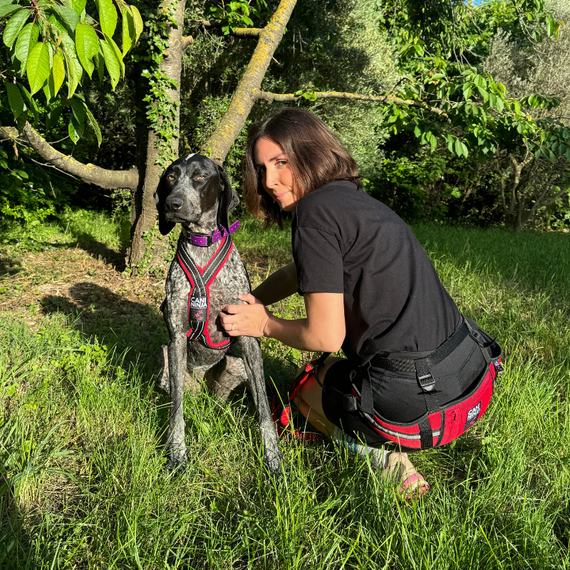 Ceinture Baudrier Canicross