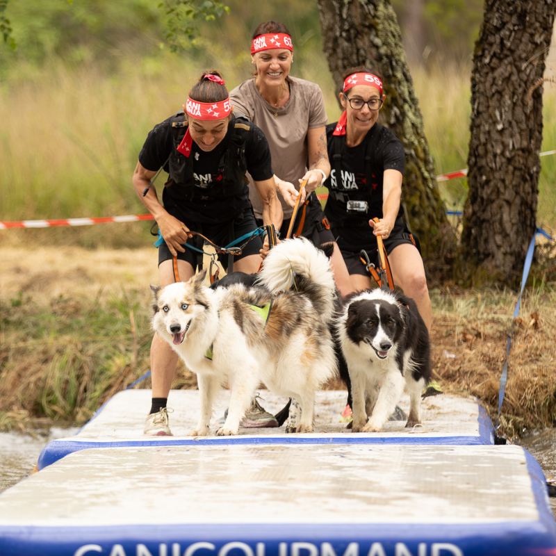 Pack Cadeau CANI NINJA